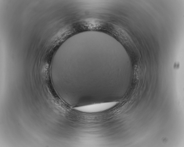 X0000093370650200711011229