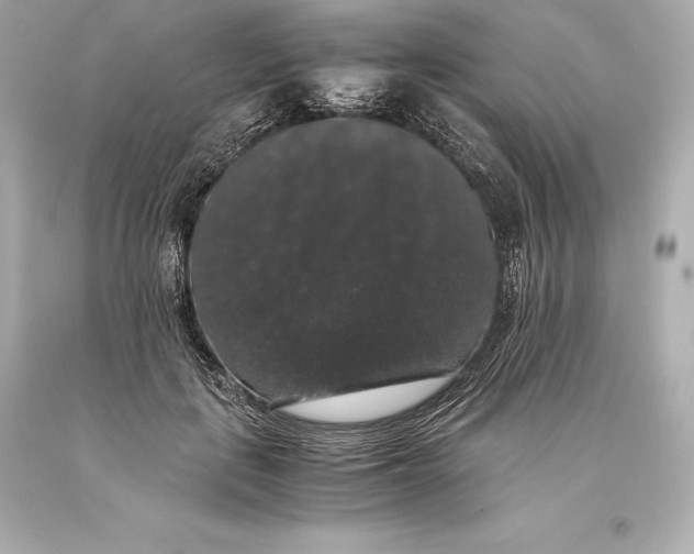 X0000093370651200711011229