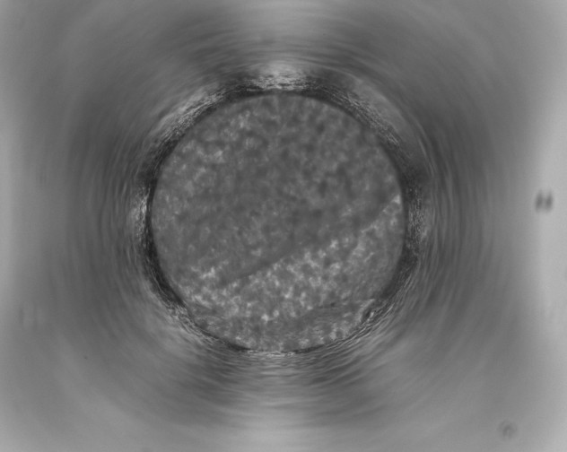 X0000093370652200711011229