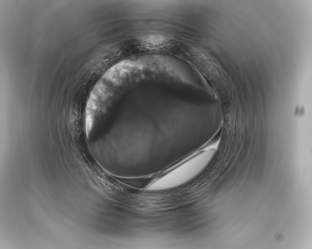 X0000093370653200711011229