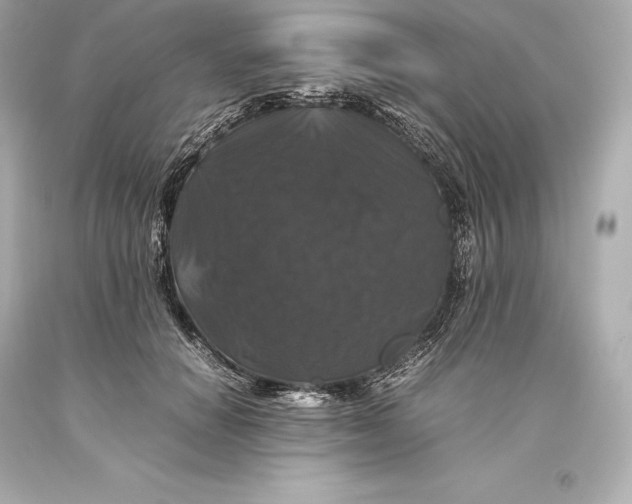 X0000093370654200711011229