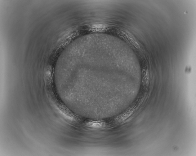 X0000093370655200711011229