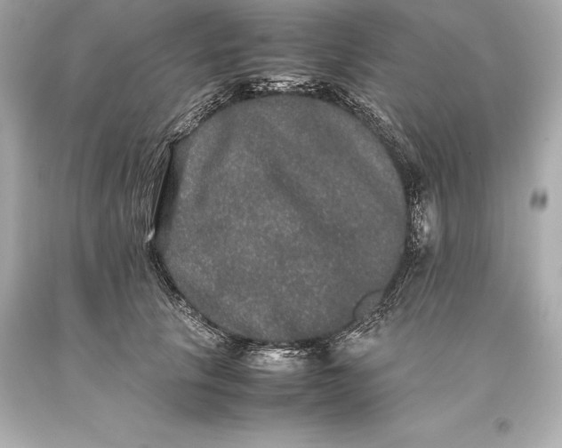 X0000093370657200711011229