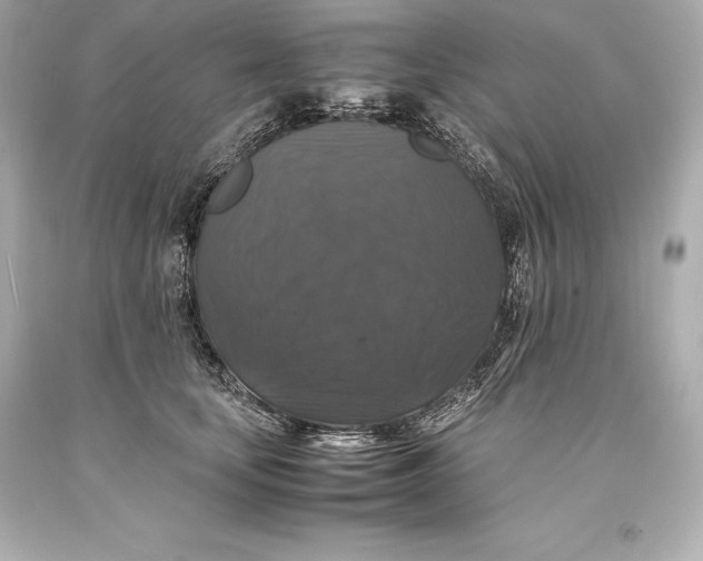 X0000093370659200711011230