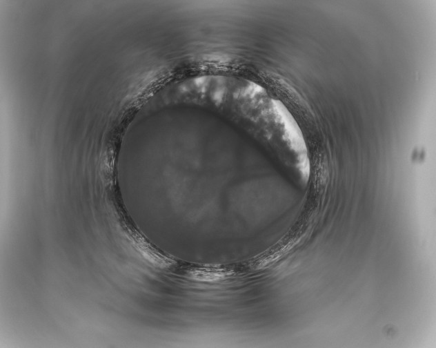 X0000093370661200711011230