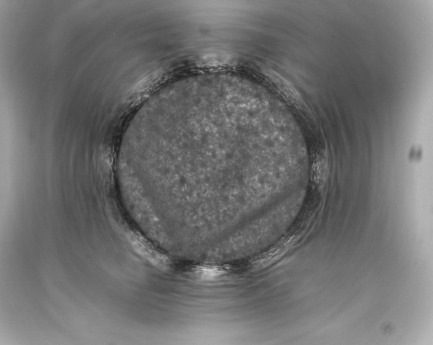 X0000093370662200711011230