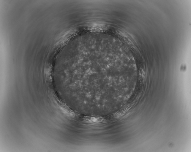 X0000093370663200711011230