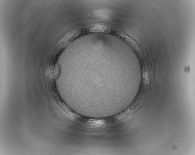 X0000093370665200711011230