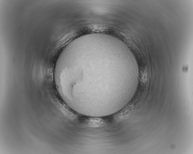 X0000093370666200711011230