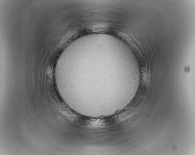 X0000093370667200711011230