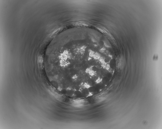 X0000093370669200711011230