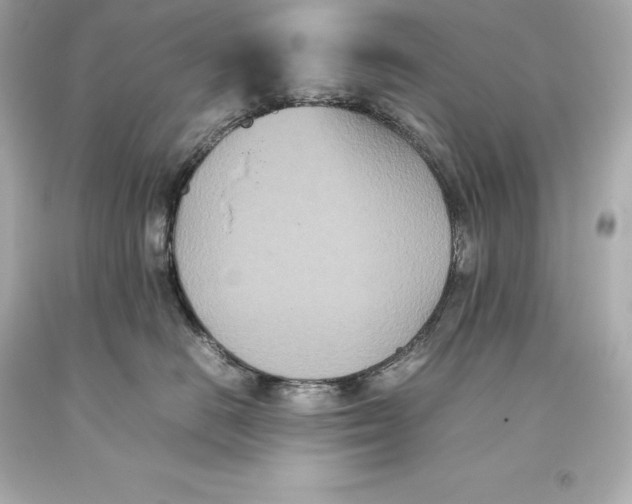 X0000093370670200711011230