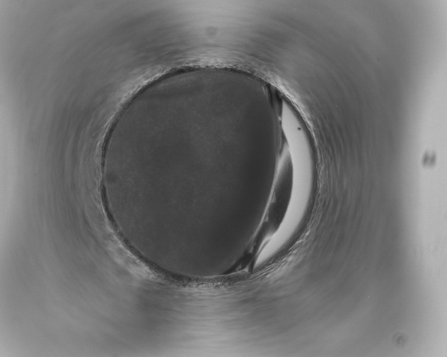 X0000093370673200711011229