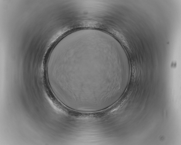 X0000093370674200711011229