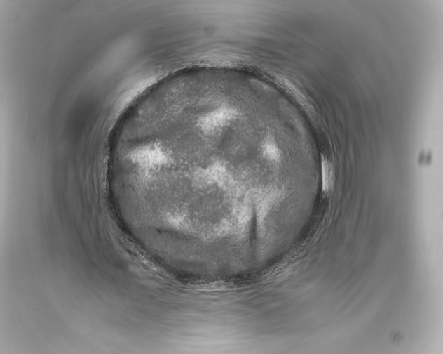 X0000093370675200711011229