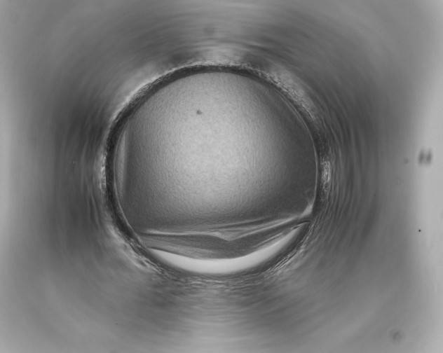 X0000093370676200711011229