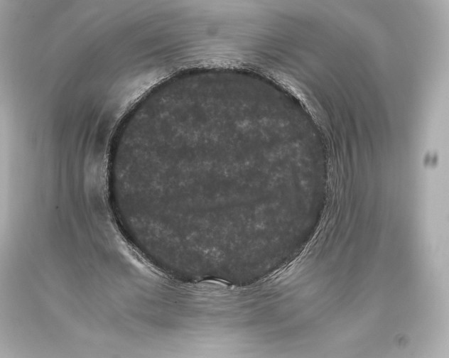 X0000093370677200711011229