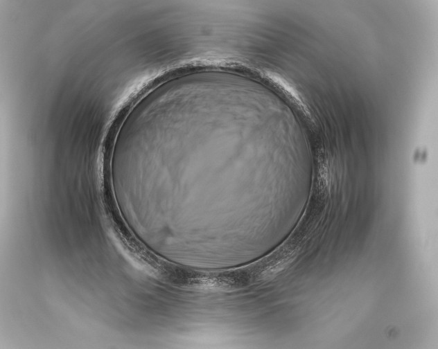 X0000093370678200711011229