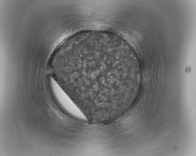 X0000093370679200711011229