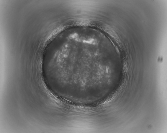 X0000093370681200711011229