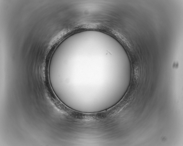 X0000093370682200711011229