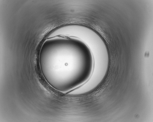 X0000093370683200711011229