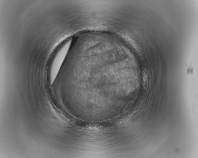 X0000093370684200711011229