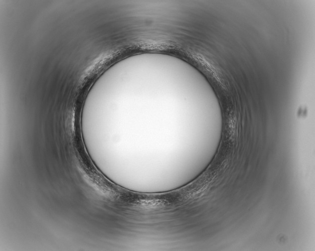 X0000093370686200711011229