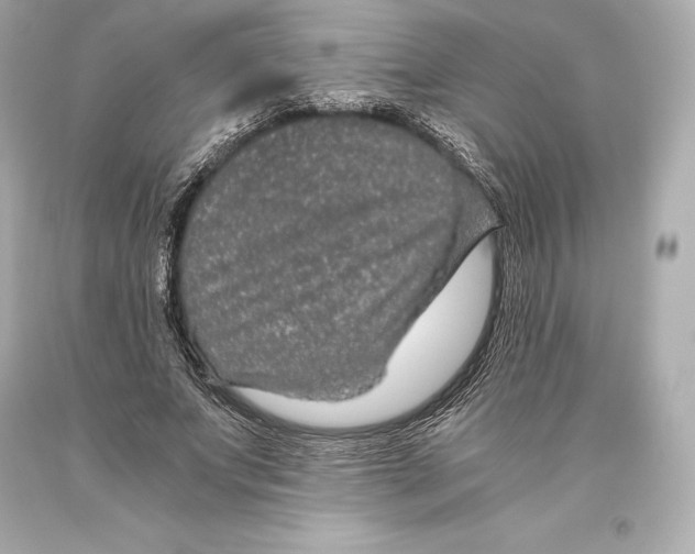 X0000093370687200711011229