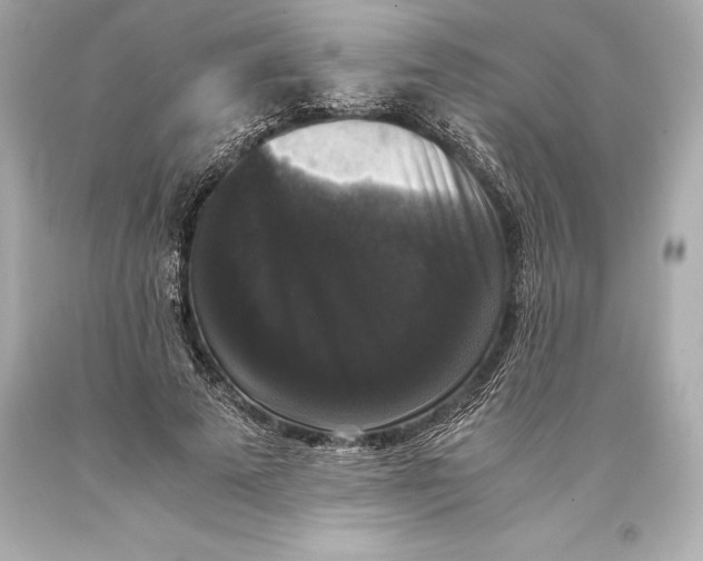 X0000093370689200711011229