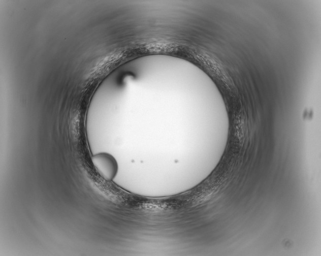 X0000093370690200711011229