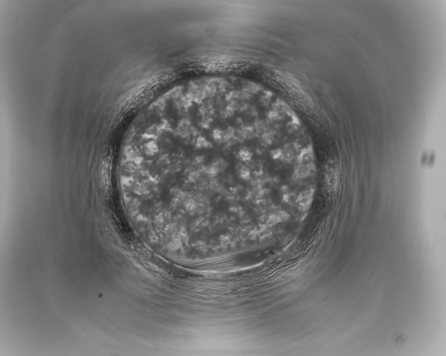 X0000093370691200711011229