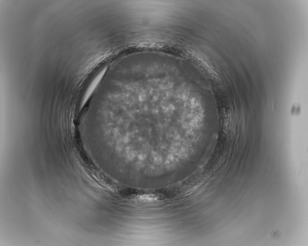 X0000093370692200711011229