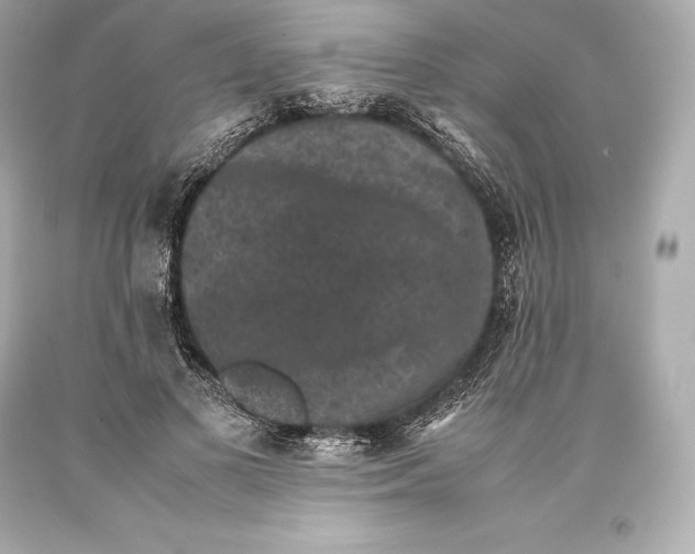 X0000093370693200711011229