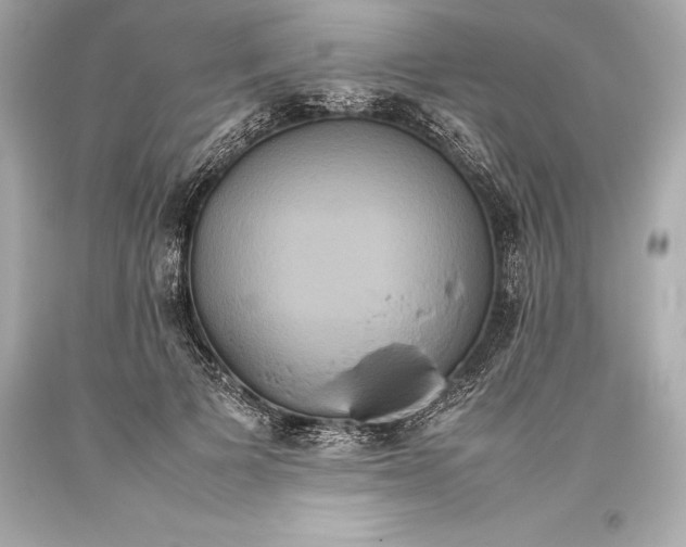 X0000093370697200711011229