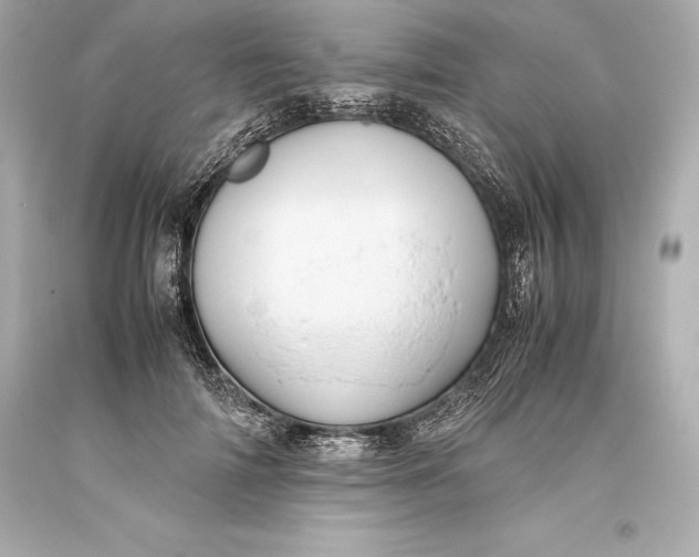 X0000093370698200711011229