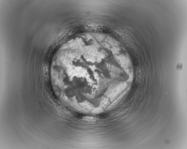 X0000093370699200711011229