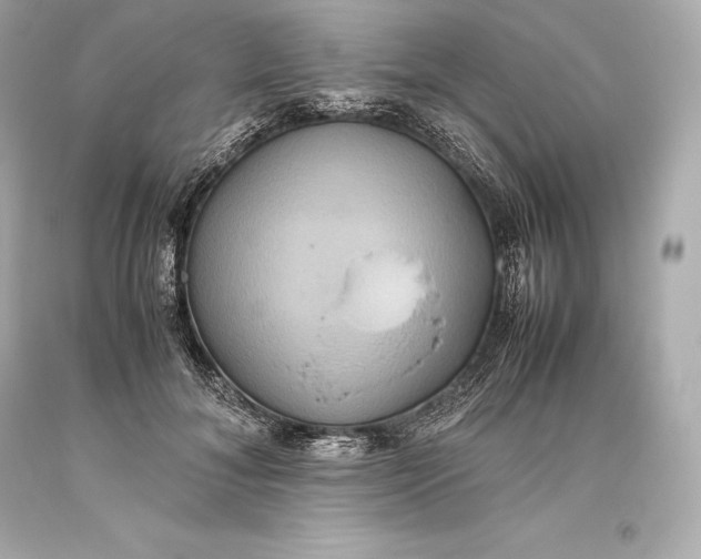 X0000093370700200711011229