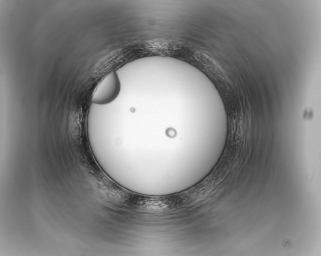 X0000093370702200711011229