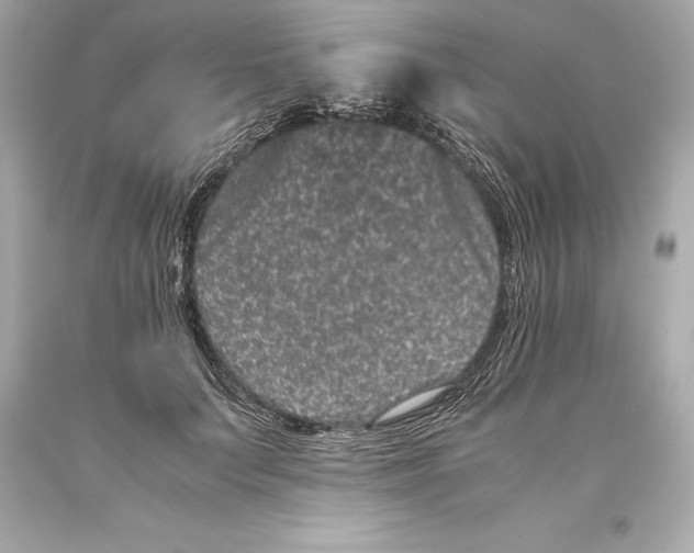 X0000093370703200711011229