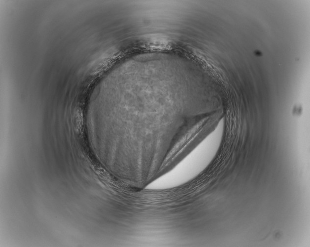 X0000093370704200711011229