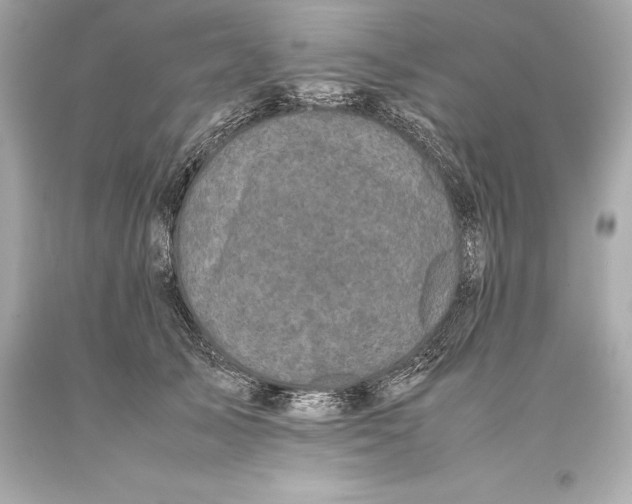 X0000093370705200711011229