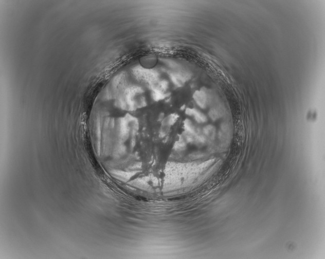 X0000093370707200711011229