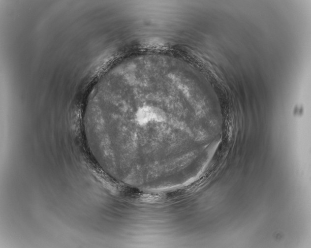 X0000093370708200711011229