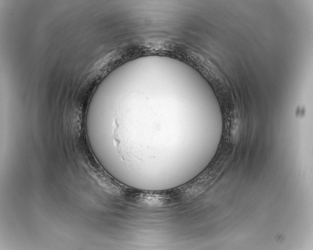 X0000093370710200711011228