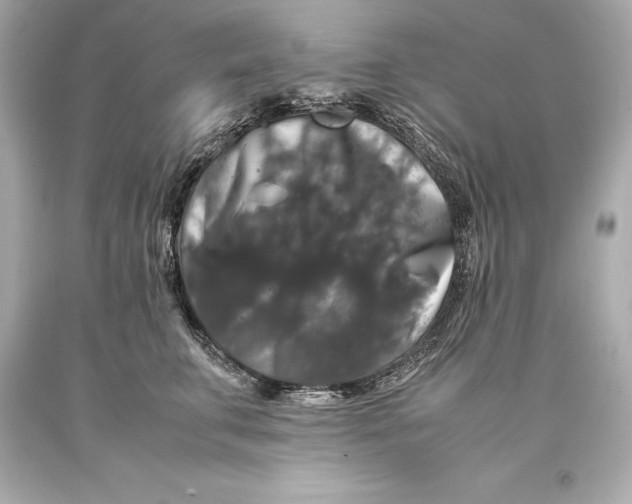 X0000093370711200711011228