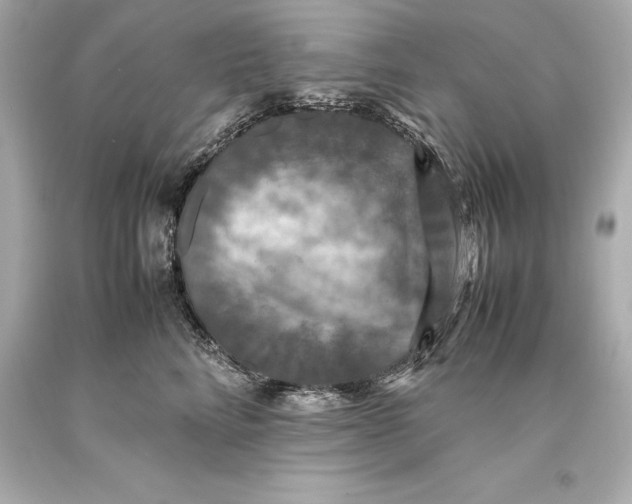 X0000093370712200711011228