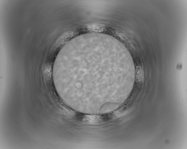 X0000093370713200711011228