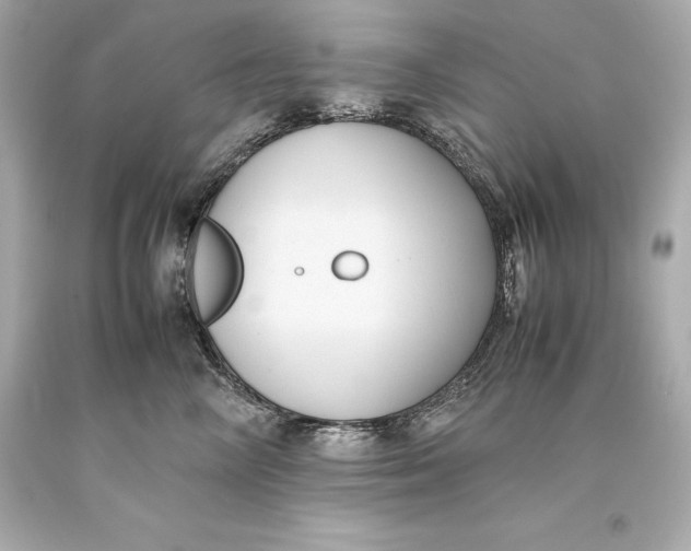 X0000093370714200711011228