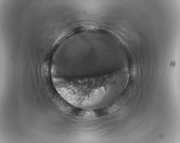 X0000093370715200711011228